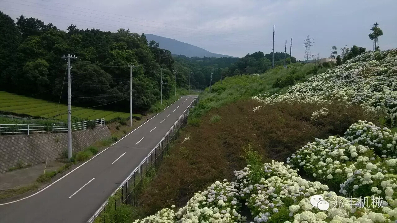 道路1.jpg